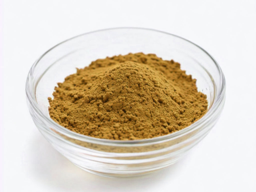 Flavonoids Powder: The New Superfood Sensation