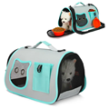 Custom Logo Design Mesh Airflow Pet Carrier Bag for Puppies and Kittens1
