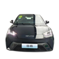 2023 BYD Seagull 400km Range Pure Electric Car1