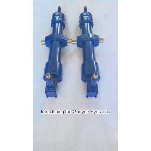 100 56-585 Hydraulic cylinder