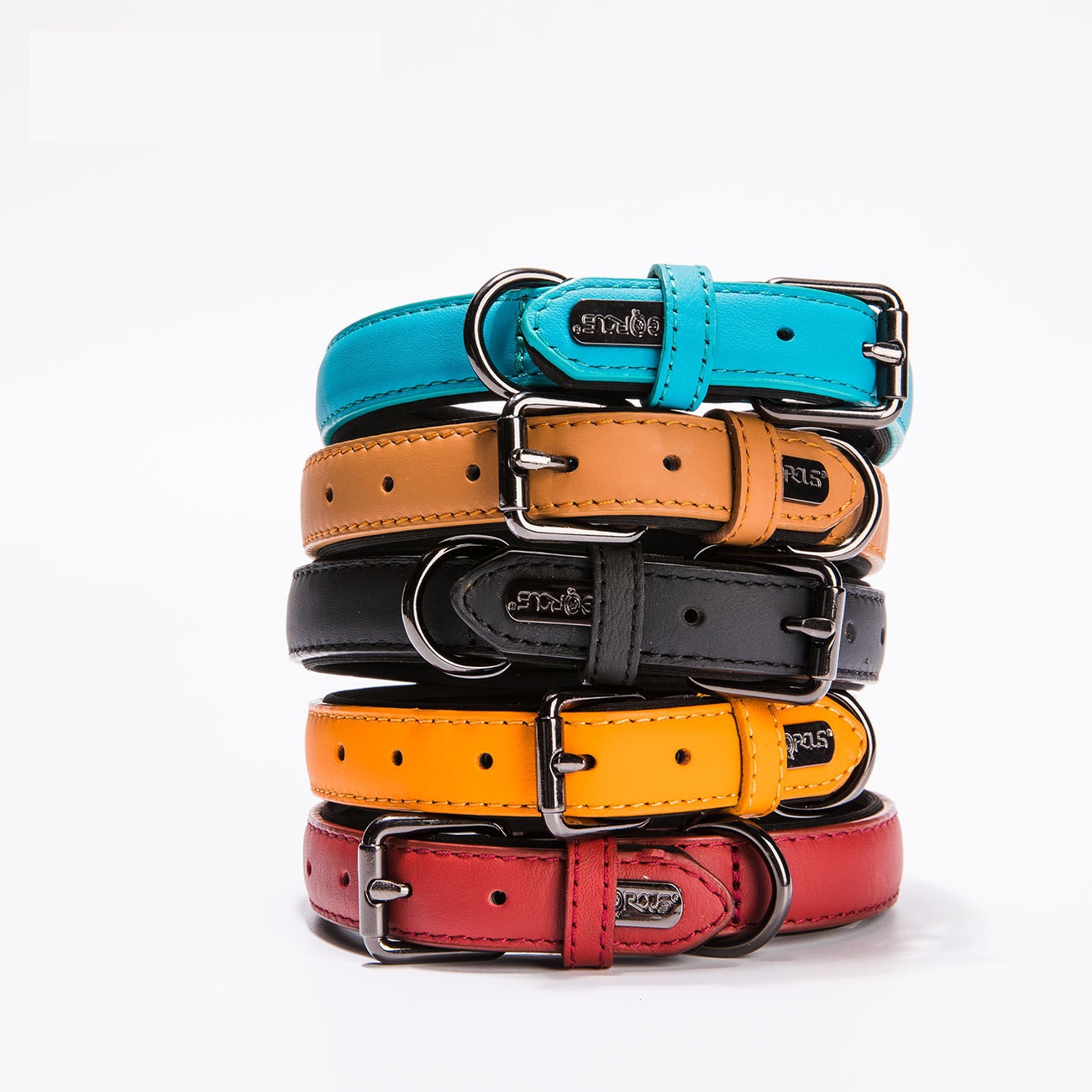 Colorful Leather Dog Collar