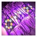 RGBCW 5-in-1 RGB+CCT LED Module for Lighting Box1