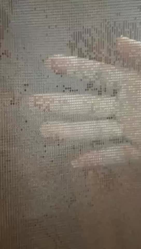 feuerfeste Moskitonetz für Fenster Glasfaserfenster Insektenscreen11