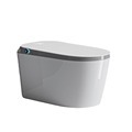 Smart Toilet Remote Control with Instant Heating and Built-in Foam Shield1