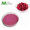 Kevert növényi gyógynövénykivonatok Bilberry Extract Por Anthocianidins1