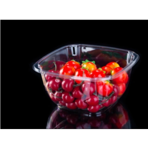 Important Considerations for Tomato Transport in Plastic Tubs