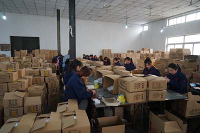 Hebei Seawell Import and Export Co.,Ltd