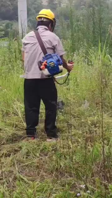 Brush Cutter