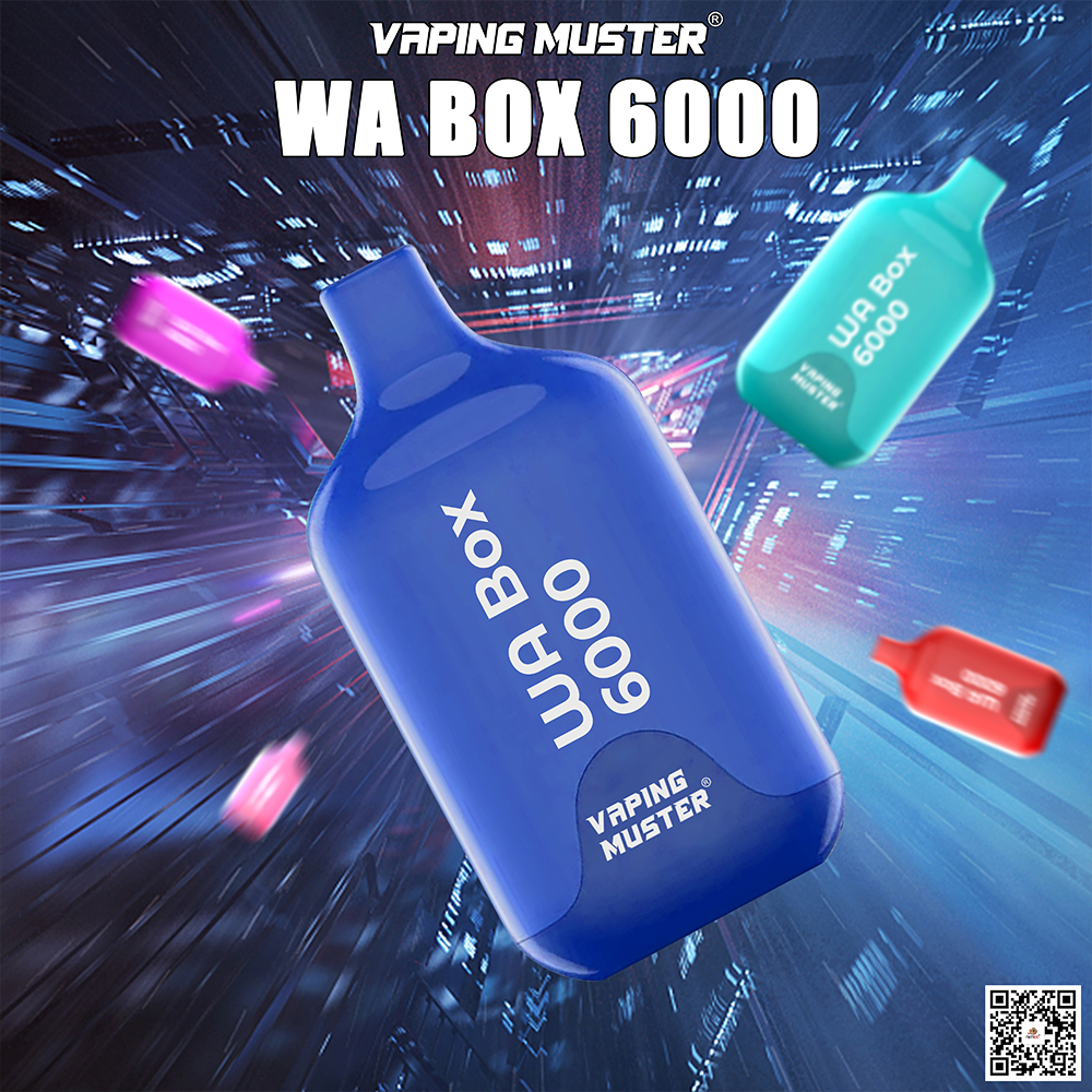 WA Box Vape 6000