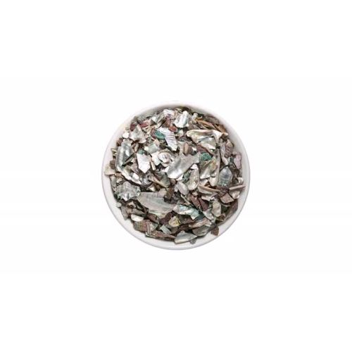 Abalone Shell