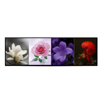 Top 10 Most Popular Chinese Stretch Bar Lcd Display Brands
