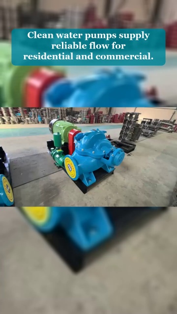 Video 5