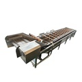 Stainless Steel Mango Masticator and Fruit Washer1