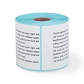 500pcs 100*150mm Stickers Thermal Label Sticker Roll Shipping Label Printer 4X6 Thermal Sticker Label1