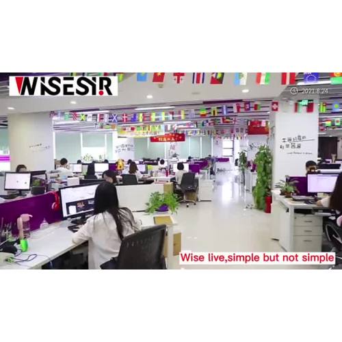 Wisesir logo customization