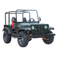 China Factory Direct 200cc Adult Engine Mini Jeep Gasoline Quad Dune Buggy Willys Jeep for Sale1