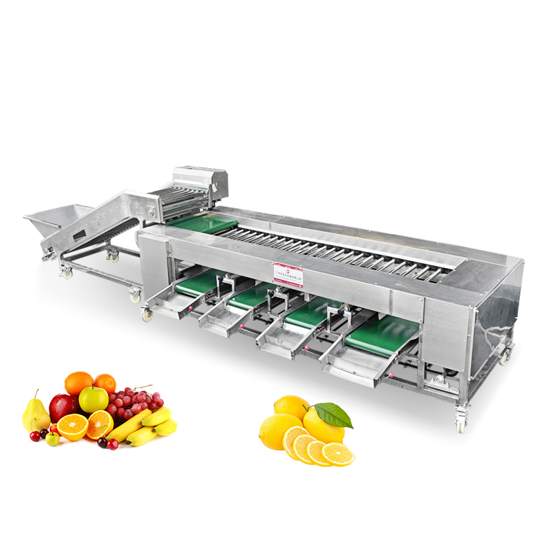 ST-FS2 Potato sorting machine