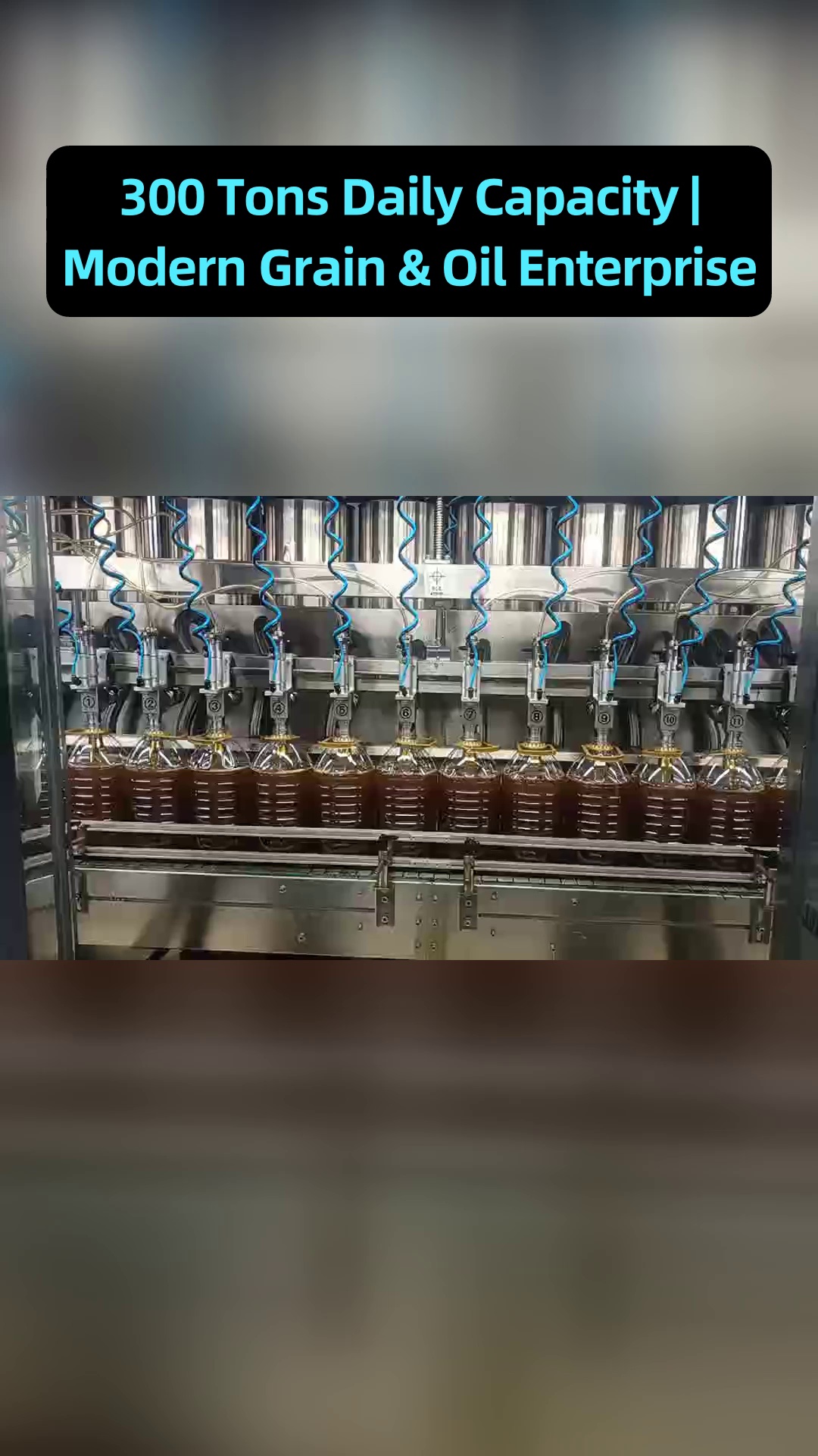 وثائق فحص الجودة الكاملة التي تدعم احتياجات تدقيق الامتثال لمشروع شراء زيت الطعام عبر الحدود