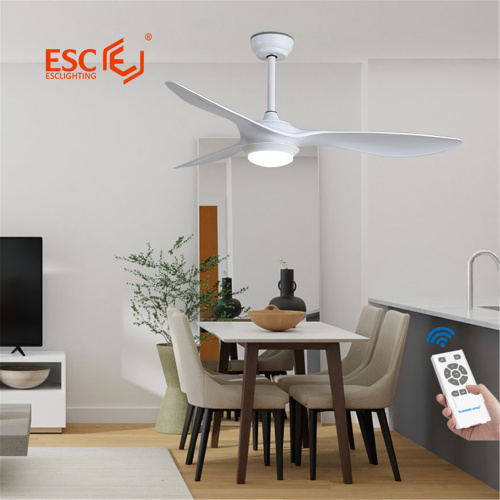 ceiling fan led light