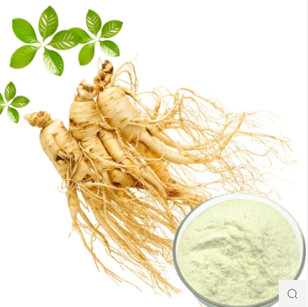 Panax Ginseng Extract