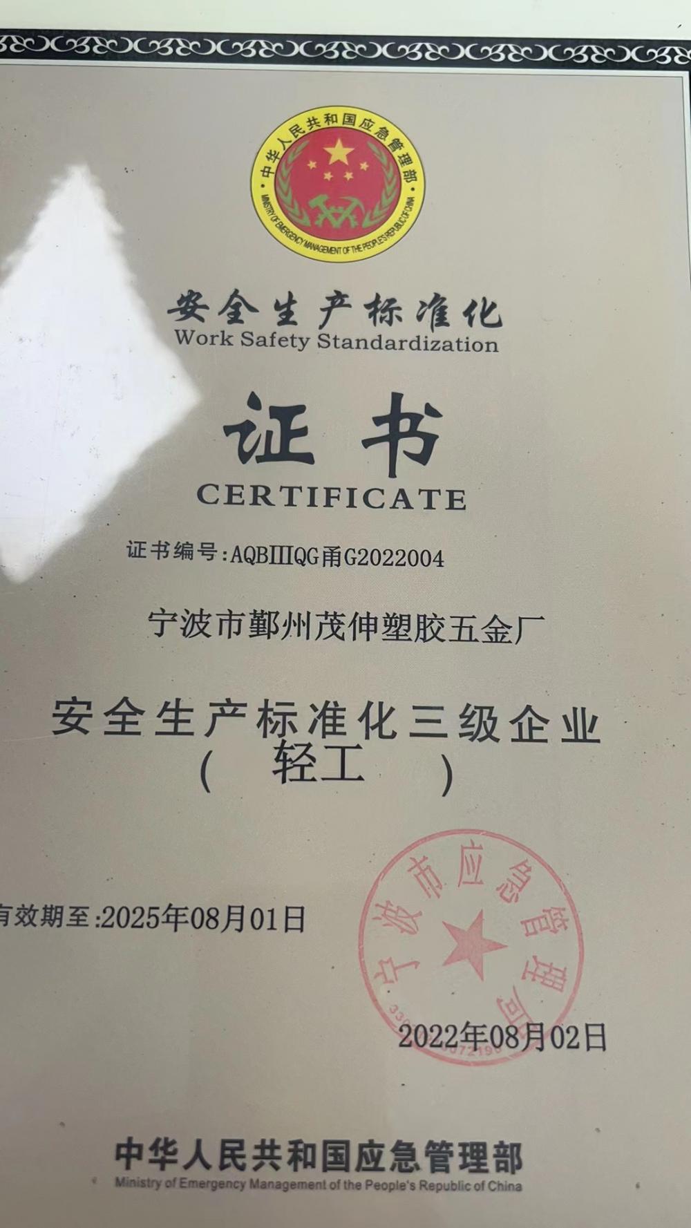 Safety Production Standardization Certificate