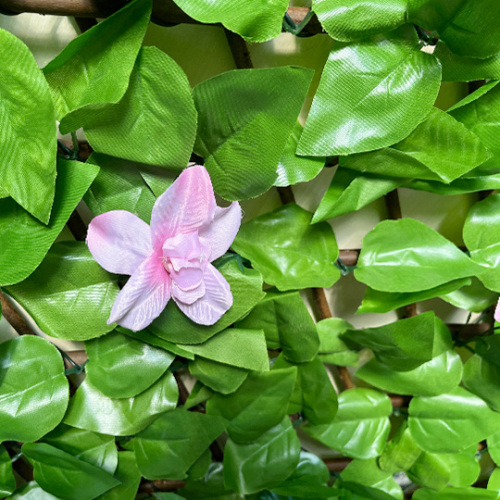 Based in the fertile industrial soil, Suichang Huahui empowers the upgrading of the artificial plant industry with innovation