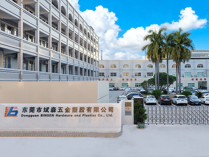 Dongguan Binsen Hardware and Plastics Co., Ltd