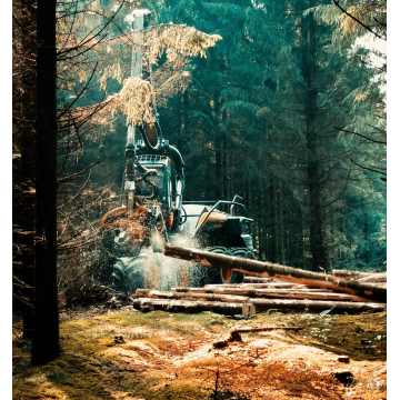 ﻿Industry Update: The Growing Demand for Mulcher Teeth in Land Clearing and Forestry