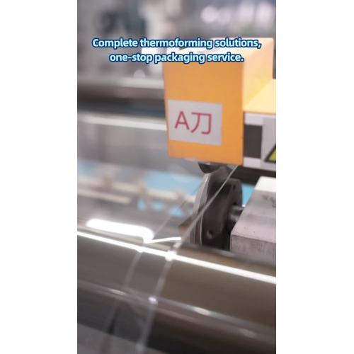 Folhas transparentes ecológicas para embalagens de marca (3)