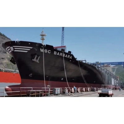 Military vessel stern bearing application