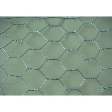 China Top 10 Hexagonal Mesh Brands