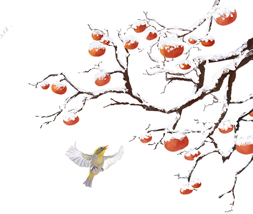 La nieve menor (vigésimo período solar) humedece el material y deja una nueva huella.