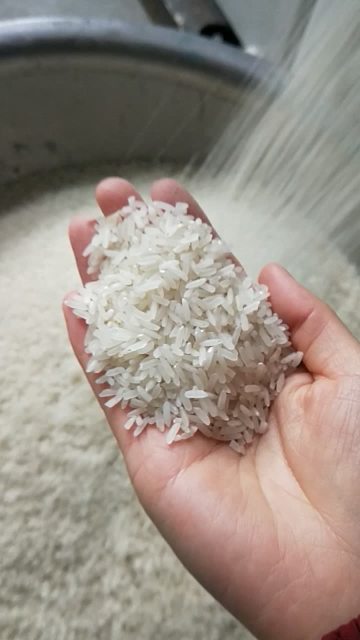Low Temperature Circulating Rice Paddy Corn Grain Dryer - Factory Price Batch Mixed Flow Dryer1