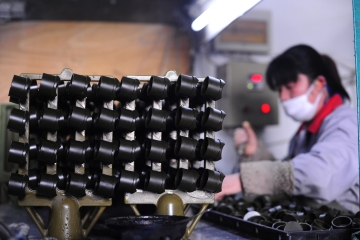 wax assembly