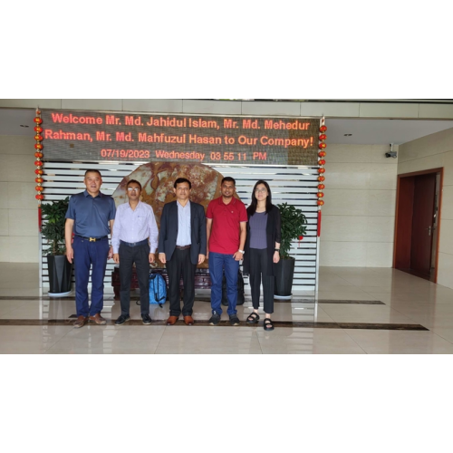 DPDC Officials Visit Our Company for PSI of 12M STEEL POLES