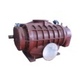 Practical and Durable Maintenance-Free High Air Volume LOBE ROOTS BLOWER PUMP1