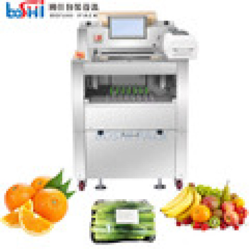Package Machine for Fruit Packaging Foods Machine Stretch Film  Strawberry Meal Cling Wrap Packing Machine1