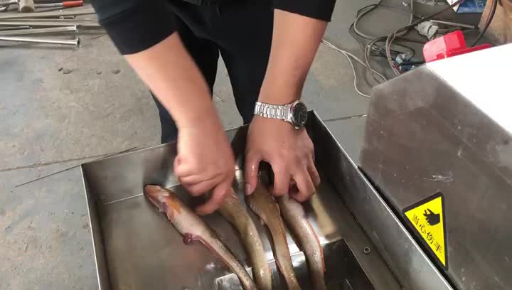 Fish Deboning Machine.