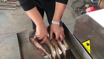 Fish Deboning Machine