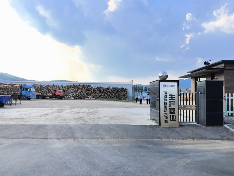 Jiangsu Ruidong Sports Technology Co., Ltd