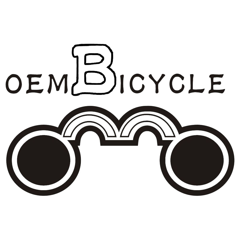HangZhou Oem Bicycle Electric Bike Co., Ltd