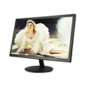 IPS LCD Desktop Computer Monitor: 17" to 24" Inches1