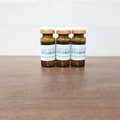 Private Label 10ml Fat Dissolving Anti-Cellulite Serum1