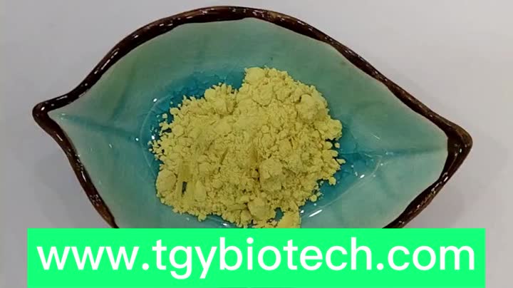 Kaempferol Powder