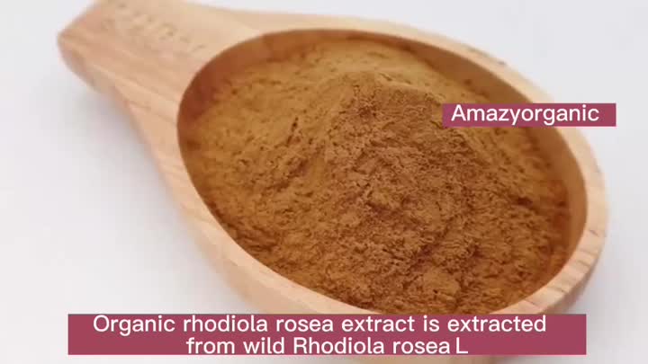Rhodiola rosea extracto en polvo