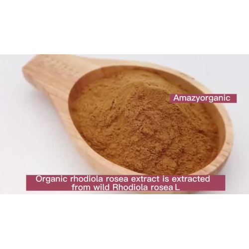 rhodiola rosea extract poeder