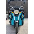 Hot Gowei Electric Tricycle for Adult Farm Use1