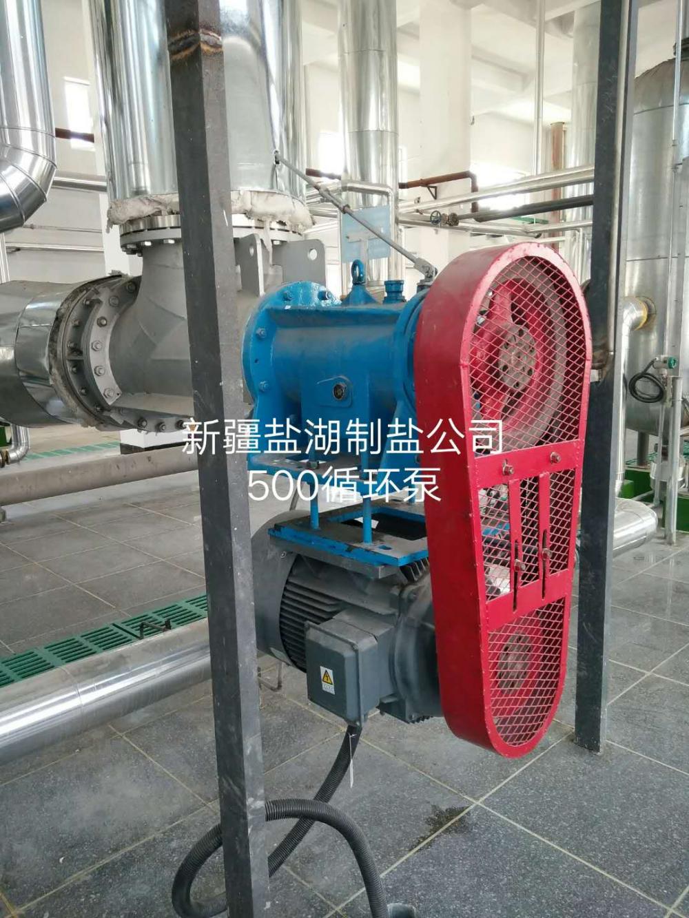 1200 Axial pump