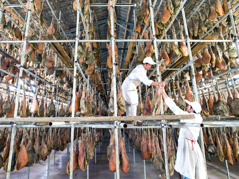 Yunnan Dongheng Economic and Trade Group Food Co., Ltd.