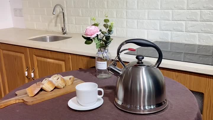 stainless steel whistling stovetop kettle FH-405